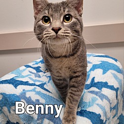 Thumbnail photo of Benny 2024 #2