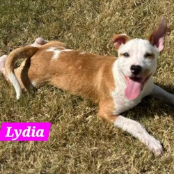 Thumbnail photo of Lydia #1