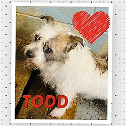 Thumbnail photo of Todd* #2