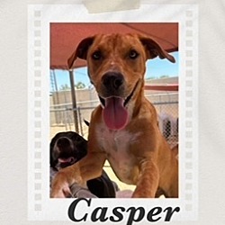 Thumbnail photo of Casper #2