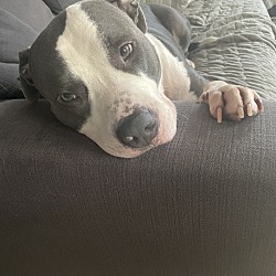 Photo of Blü