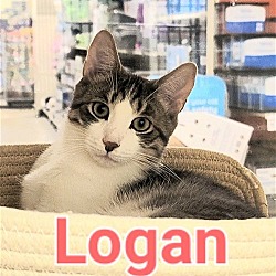 Thumbnail photo of Logan #4