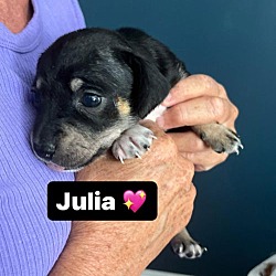 Thumbnail photo of Julia #3