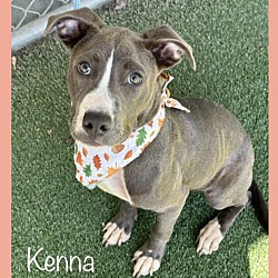 Thumbnail photo of KENNA #3