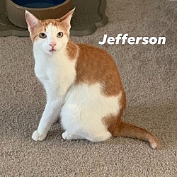 Thumbnail photo of Jefferson #1