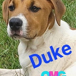 Photo of Duke (CL 2023)