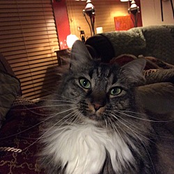 Photo of Abigail