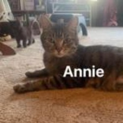 Thumbnail photo of Annie #1