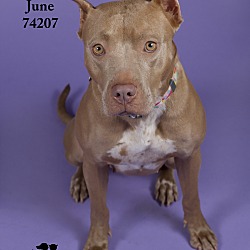 Thumbnail photo of June  (Foster Care) #1