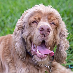 Photo of Tyson