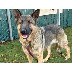 Photo of MOLLY