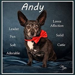 Photo of Andy