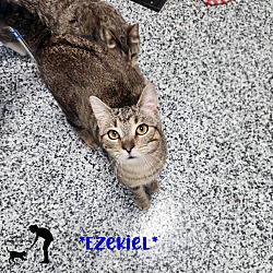 Photo of Ezekiel