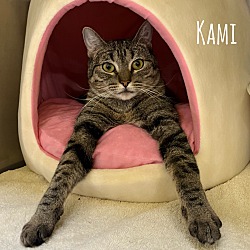 Photo of Kami