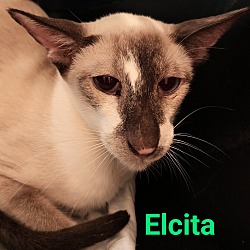 Photo of Elcita