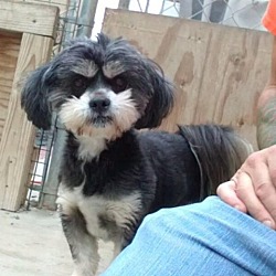 Photo of Mia