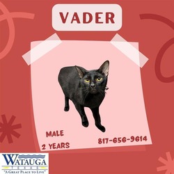 Photo of VADER