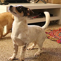 Photo of Snickers
