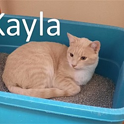 Photo of Kayla