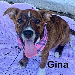 Photo of Gina