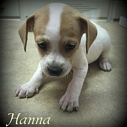 Thumbnail photo of Hanna #4