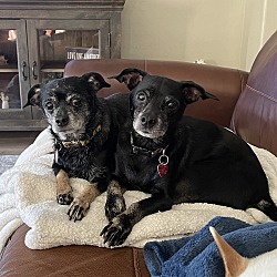 Thumbnail photo of Pawla and Pawlo #1