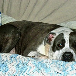 Photo of Frederick ~ meet me!