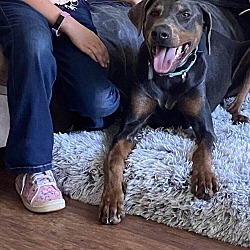 Photo of Bruno