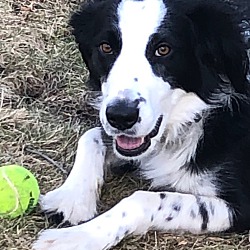 Photo of Wally