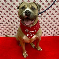 Photo of MELVIN