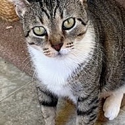 Photo of Kiki