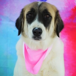 Photo of Mabel KF