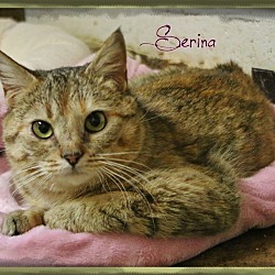 Thumbnail photo of Serina #1