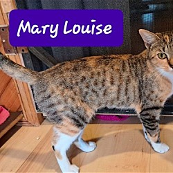 Photo of Mary Louise