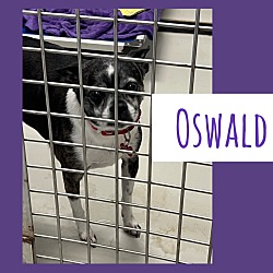 Photo of Oswald