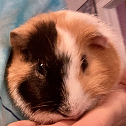 Thumbnail photo of Leroy #1