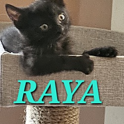 Photo of Raya