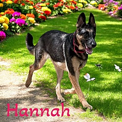 Thumbnail photo of Hannah II #1