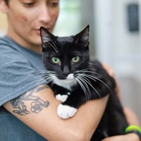 adopt a pet