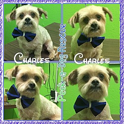 Thumbnail photo of Charles #1
