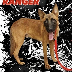 Photo of Ranger2 - TX