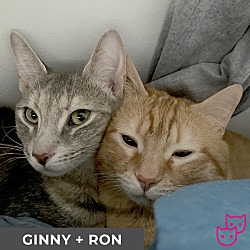 Thumbnail photo of Ginny #4