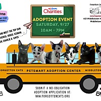 adopt a pet