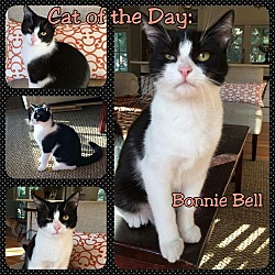 Thumbnail photo of Bonnie Bell #3