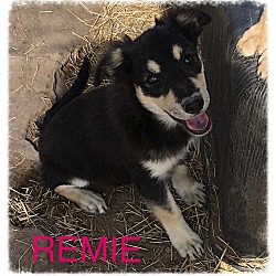 Photo of Remie