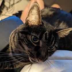 Photo of Zelda