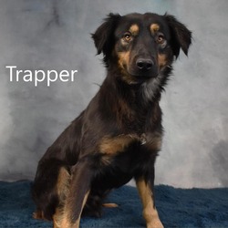 Photo of Trapper