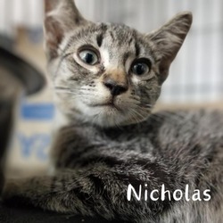 Thumbnail photo of Nicholas #1