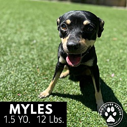 Thumbnail photo of Myles #3