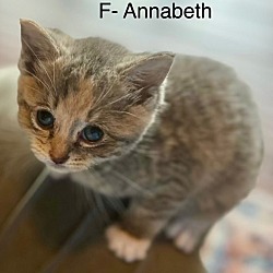 Photo of Annabeth